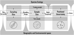 Conceptual figure