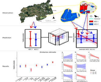 Graphical abstract