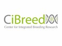 CiBreed