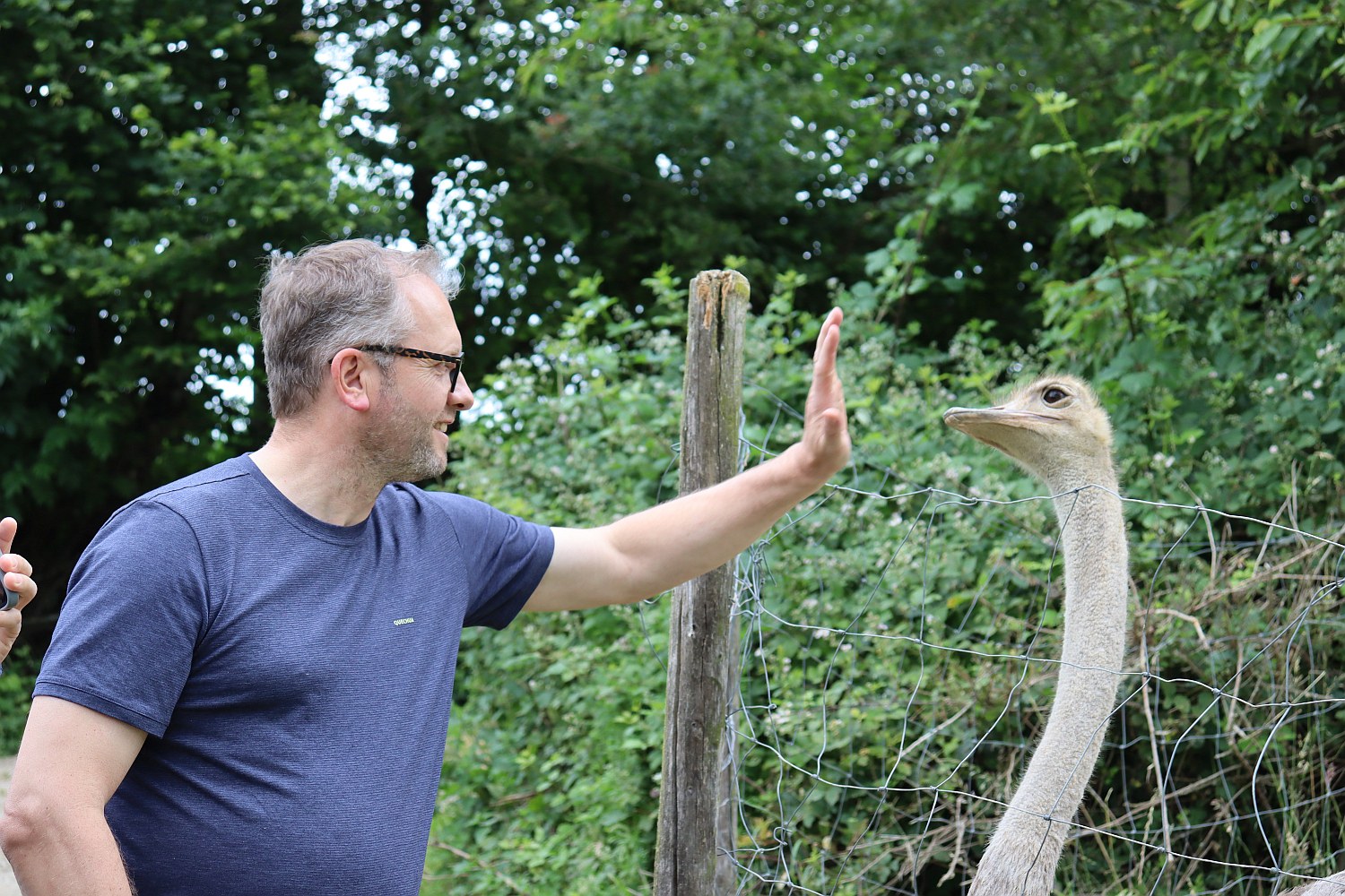 Ostrich farm