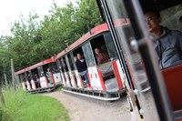 Train ride on the Gemarkenhof ostrich farm