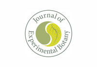 Journal of Experimental Botany