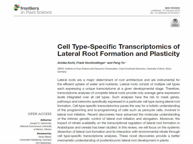 Kortz, Yu and Hochholdinger published a review in FRONTIERS in PLANT SCIENCE