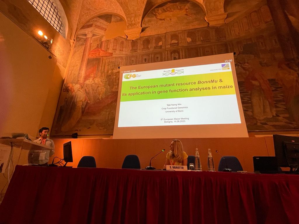 Yan Naing Win gave a talk at the 5th European Maize Meeting in Bologna