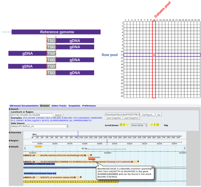 MuWU_overview