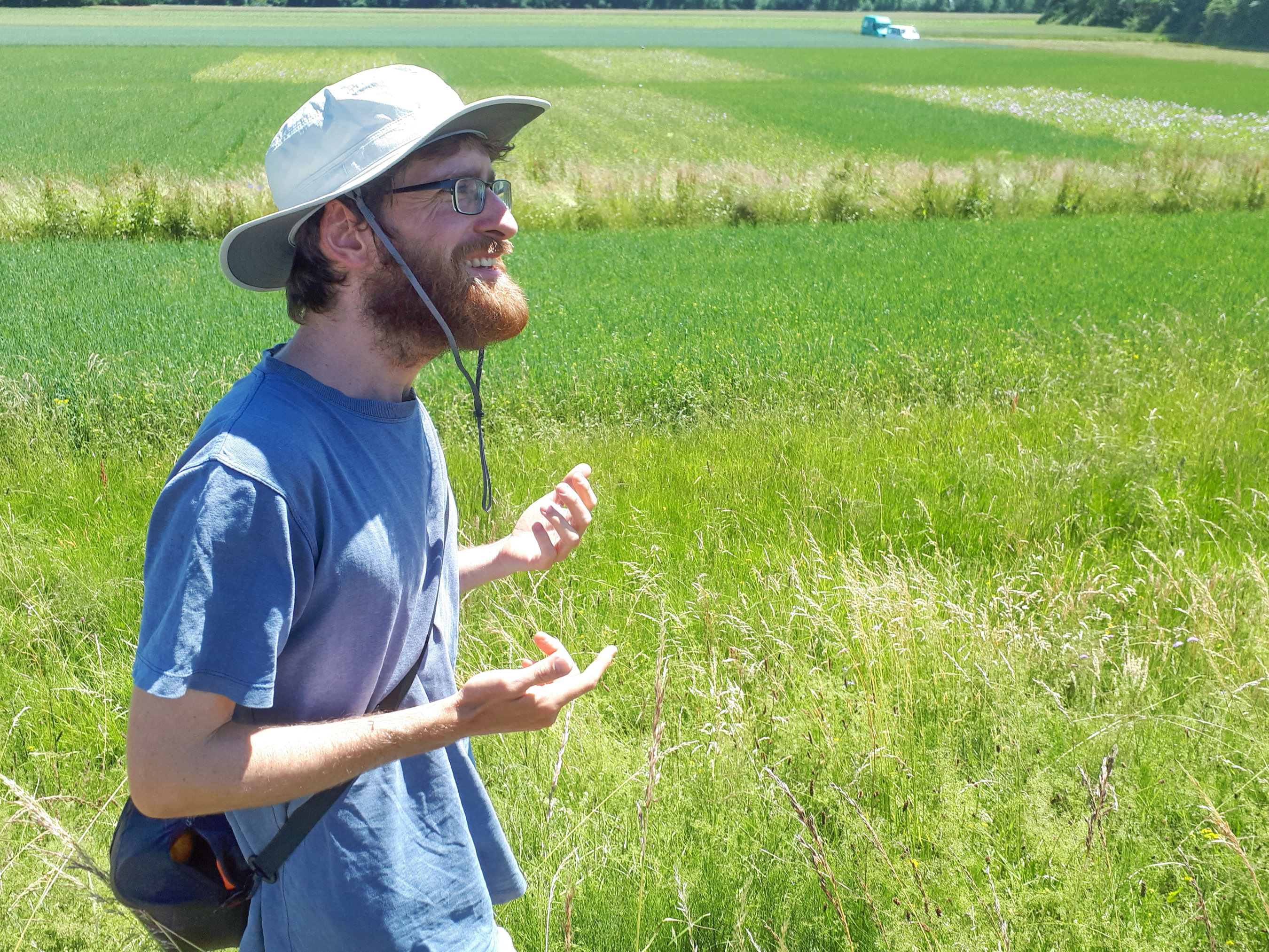 Dr. Séverin Hatt (Bild) hat zusammen mit Prof. Dr. Thomas Döring die Auswirkung von Misch-Anbau, Blühstreifen und Unkräutern auf den Schädlingsbefall untersucht.