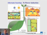 Screenshort aus der Alternanzvorlesung von Dr. Michael Blanke