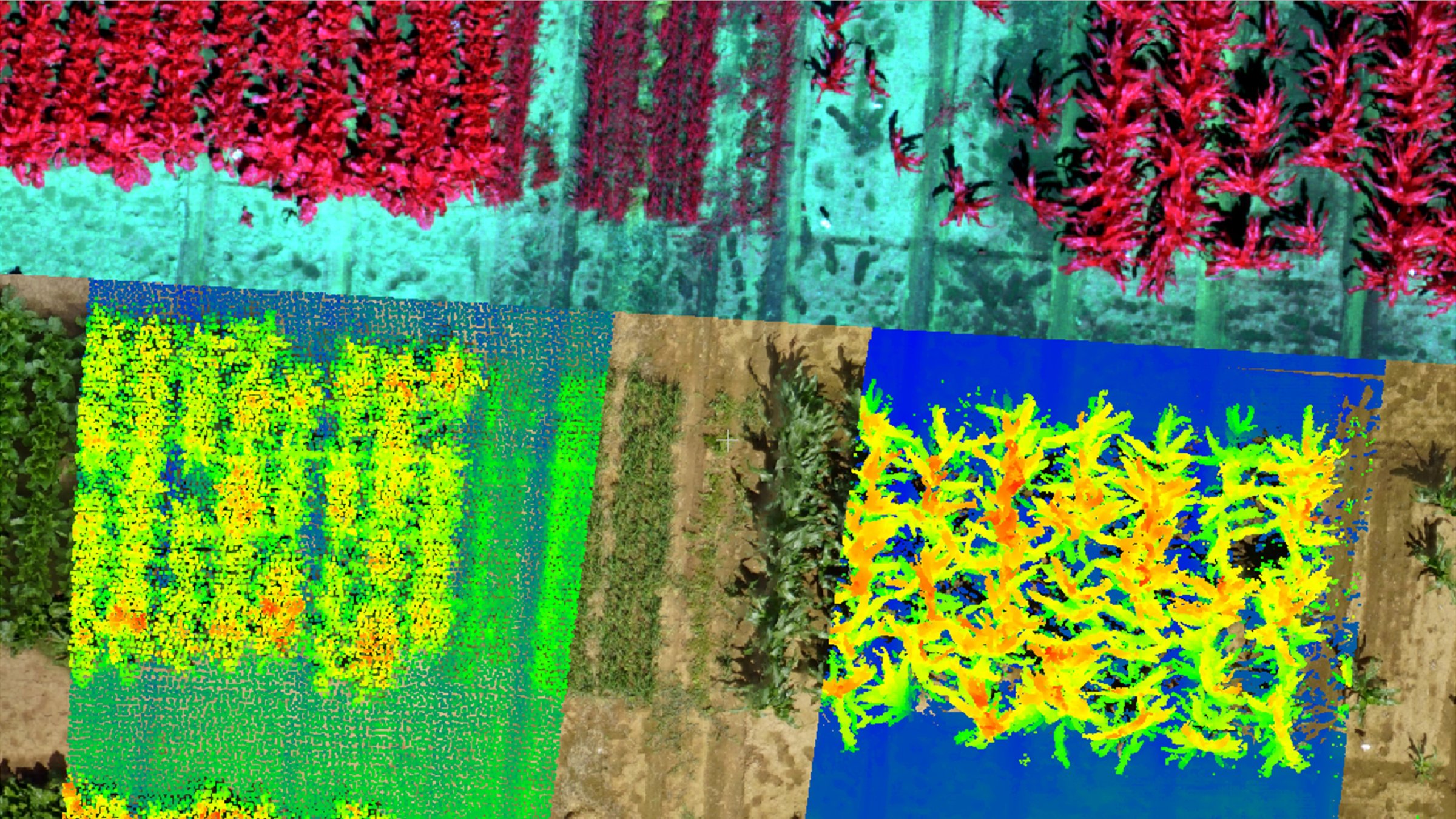 Mit Hilfe von Satellitenaufnahmen könnte die Landwirtschaft in Zukunft deutlich effizienter und umweltfreundlicher werden.