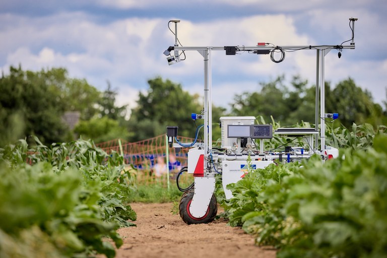 Ein Roboter auf dem Feld