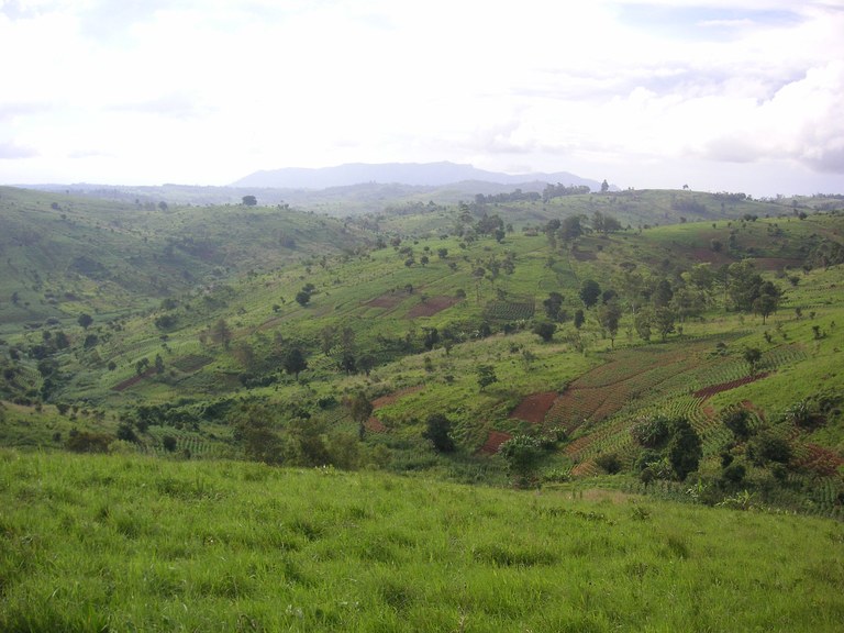 Home - hilly agroscape