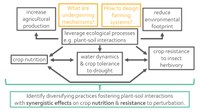 Research approach